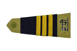 Head Constable Insignia